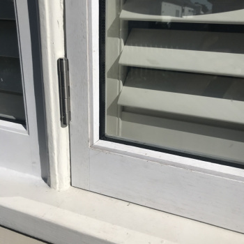 double hung window sash replacement