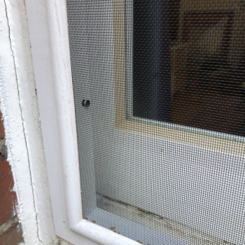 window repair and replacement